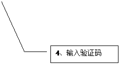 线形标注 3: 4、输入验证码